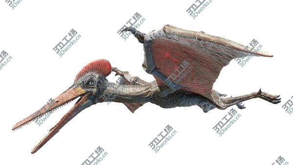 images/goods_img/20210312/3D model Pterodactyl/3.jpg